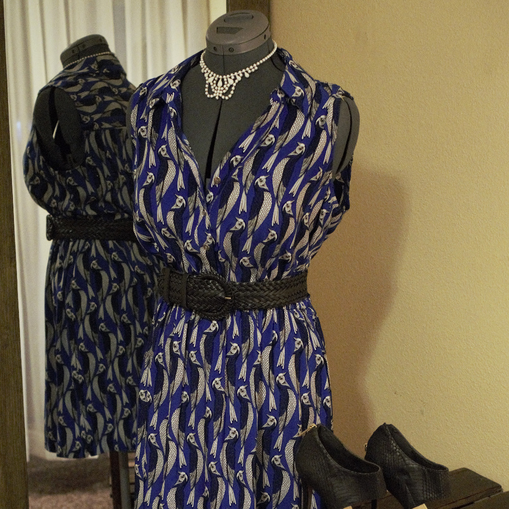 ALFANI blue button up bird dress